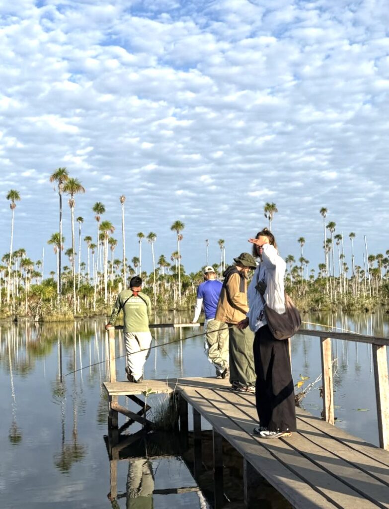 Passerella sul lago tra le palme in Amazzonia