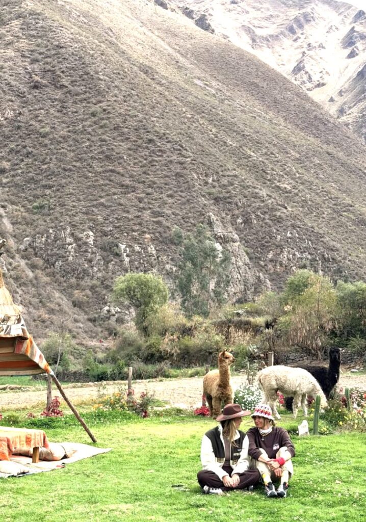 Sedute sul prato con gli alpaca nella Valle Sacra